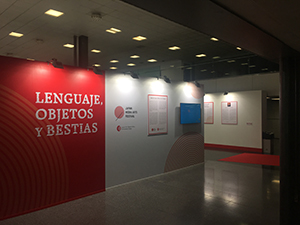 The completed venue for the “Languages, Objects and Beasts” exhibition